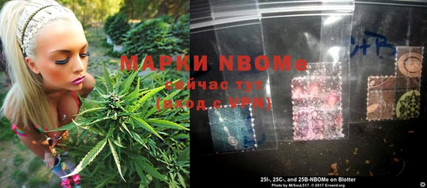 ПСИЛОЦИБИНОВЫЕ ГРИБЫ Алзамай