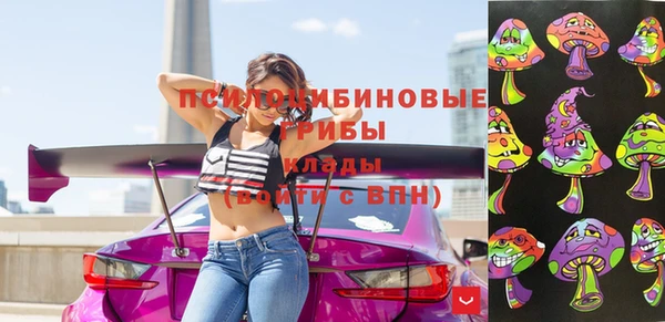 ПСИЛОЦИБИНОВЫЕ ГРИБЫ Алзамай