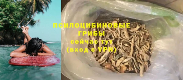 ПСИЛОЦИБИНОВЫЕ ГРИБЫ Алзамай