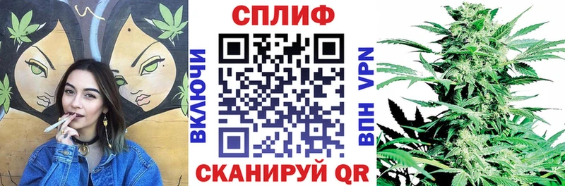 Каннабис ГИДРОПОН omg зеркало Андреаполь купить сайты